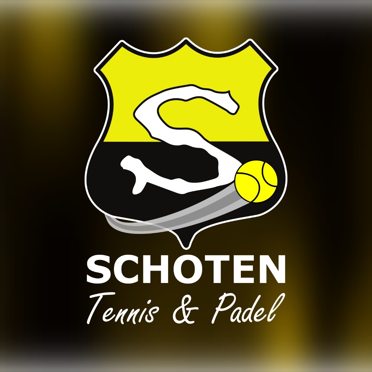 padel haarlem